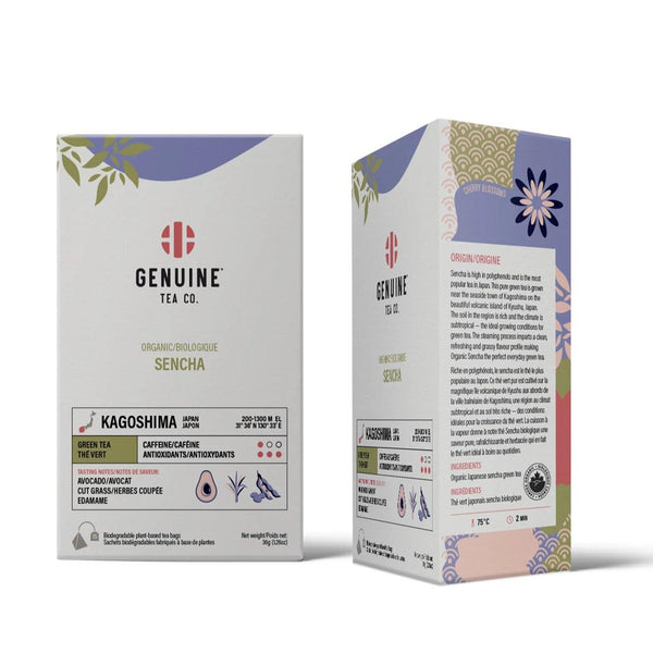 Organic Sencha Pyramid Tea Bags - Rocanini Coffee Roasters